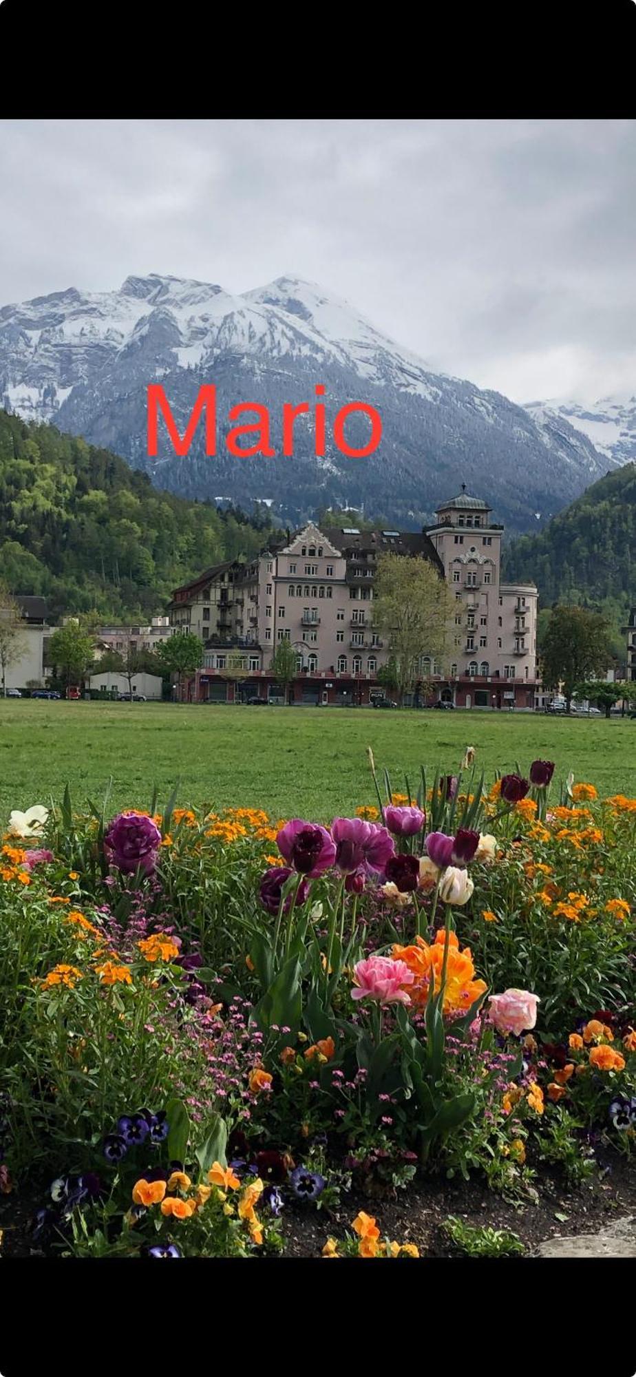 Apartment By Mario Interlaken Buitenkant foto